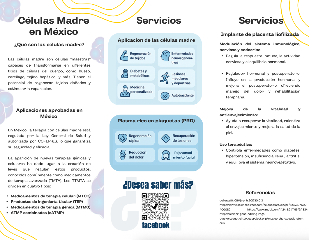 Página 2 del Folleto Informativo